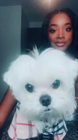 #quarantinewithyourdog