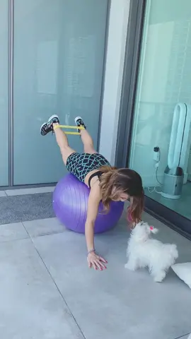 #petlover #dogsoftiktok #dogchallenge #funnydog
