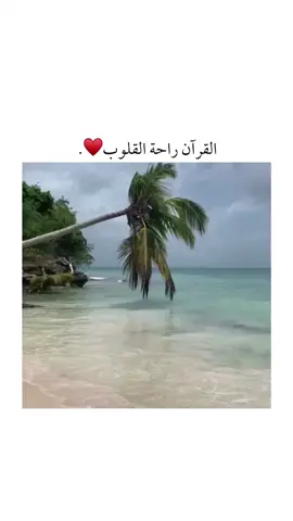 القرآن راحة القلوب♥️. #اترك_بصمتك #انشر_السعادة