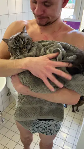 The two cuties after their bath ❤️ #catsoftiktok