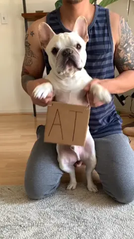 we have a special message for you ♥️ #stayhomestaysafe #flattenthecurve #covid19 #viral #foryou #fyp #tiktokdogs