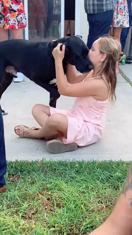 Have you ever seen something so sweet 🥺 #dogs #lab #tiktokdogs #dogsandkids #sosweet #goodboy