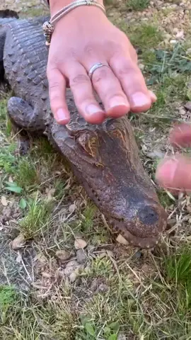 😱😱 #spectracious #pourtoii