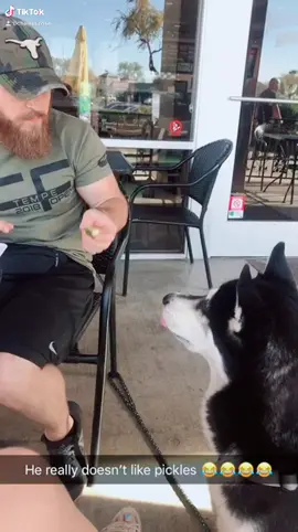 When it hits you...#katorogue  #dogsoftiktok #dog #husky #foryourpage #fyp #woah