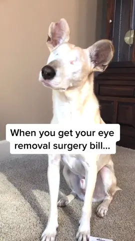 He didn’t even leave a tip! #toosieslide #freezeframe