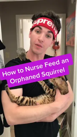 Top comment names her! GO! #animalrescue #loveanimals #farm #rescuefarm #animallove #zoolife #saveanimals #farmboy #squirrel #babysquirrel #fyp #foru