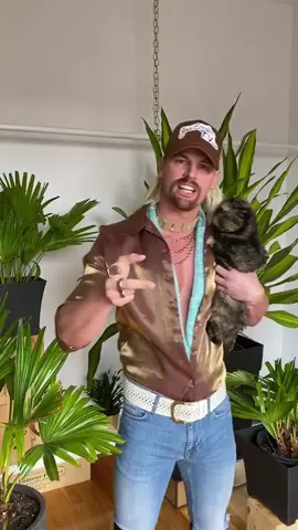 Joe Exotics parody 🐅🐆🐅 #joeexotic #carolebaskinchallenge #joeexoticdancechallenge #joe #quarantine #parody #fun #challenge #funnychallenge