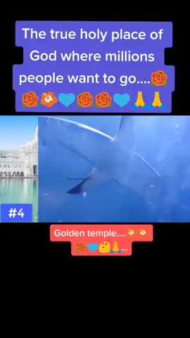 #tiktok #stayhomestaysafe #handwashchallenge #arielsharetheload