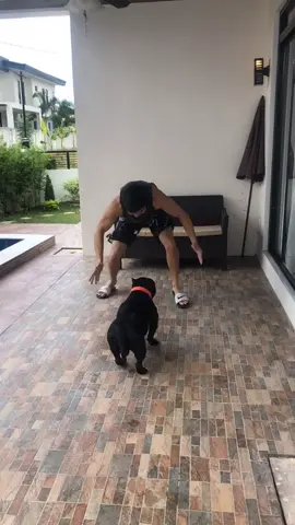 Play time w/ baby Thor 😜❤️🕺🏻 #enjoyathome #foryou #foryoupage #boredinthehouse