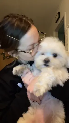 my baby! Baylee Maye! Drop your dog’s name in the comments! #petlover #pets #doglover #petlife #fyp