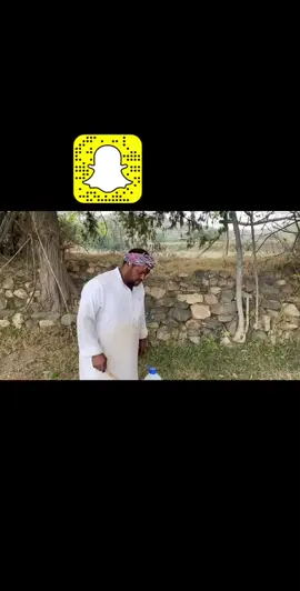 #محمد_الحشري