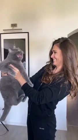 How to kiss a cat 🐈 Her reaction at the end though 😂😈 #petlife #catsoftiktok #PetsOfTikTok #keepingbusy