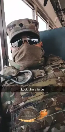 We can't all be heros...So I chose to be a turtle🐢#keepingbusy #petlife #military #turtlelivesmatter
