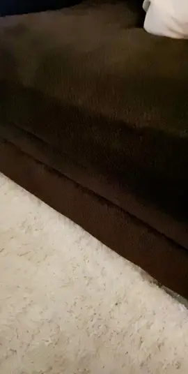 Quarantine feels 😴💤 #stayhomestaystrong #loungewear #babygoat #goat #quarantine #coronagoat #goatlover