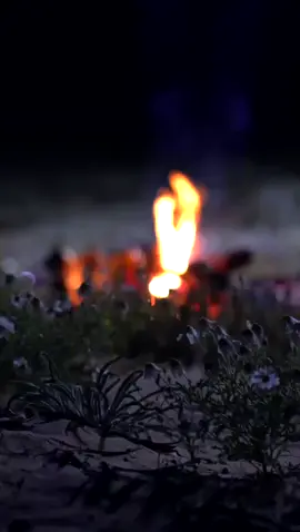 إنا اشهد ياهووو