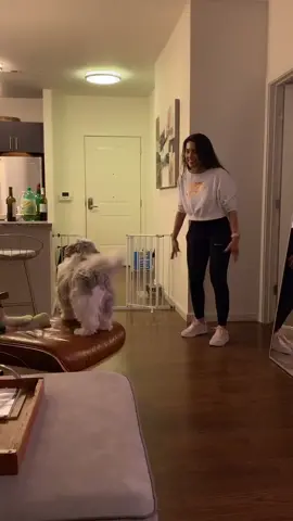 #quarantinelife #dog #foryou #foryoupage