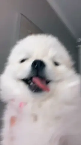 #cursedimages #foryoupage #foryou #moodboost #freezeframe #stayhomestaystrong #fyp