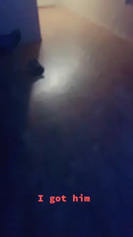 #esonoesestaradieta I got him !!!