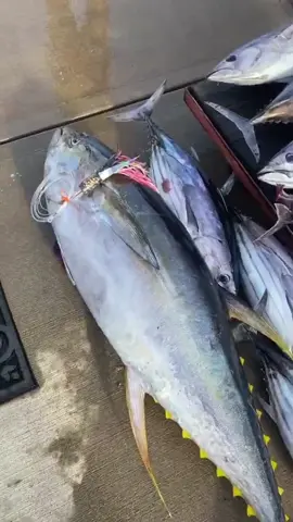 Salt and pepper Jetted plunger! 🎣