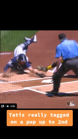 Wild. #MLB #baseball #fernandotatisjr #dingers #fyp (via @mlb)