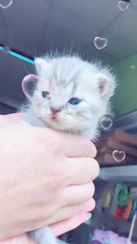 Yêu lắm ấy💕💕💕💕💕