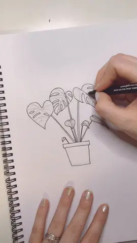 Day 5/100... monstera plant. #100dayproject #botanicallinedrawing #botanicalart #keepingbusy #fyp