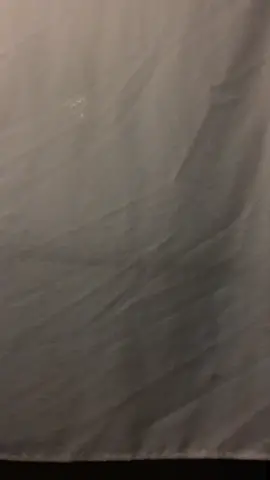 Perro y está noticiaaaaaa 👀👀👀👀😳😳😳😳#cuarentena #risa