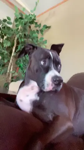 #fyp#foryou#foryoupage