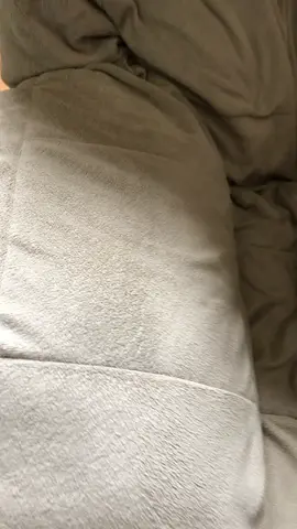 Comfortable? #catvideos #weirdpets #whatisgoingoninsidetheirhead