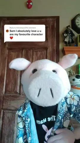 Sam The Ham Reply to @theconquer01 ! 🐽👍👍👍👍