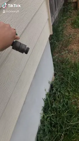 Me. Jax always trying to make the great escape #fyp #foryou #trending #hatesbaths #corgi #bathtime #smelly #ontherun #corgisoftiktok #dogzoomies