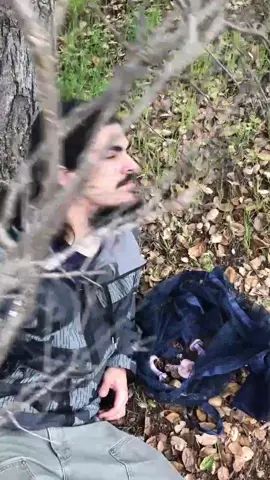 #Quarantineforage #quarantine #foraging #mushrooms #fungi #hongos #nature #blewit #clitocybenuda #mushroomhunter #wildfood #welcometomushroomhour