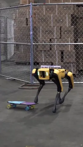 When you’re just too cool for your friends. #kickflip #goingpro #everydayscience #fyp #foryoupage #robot #bostondynamics #thuglife