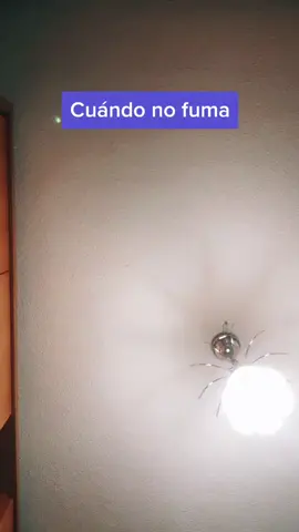 Insta: ase.037 📥 // Jajaja tenía qué hacerlo #parati