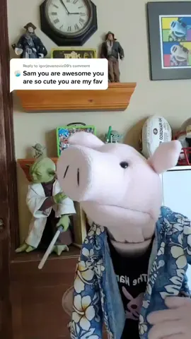 Sam's reply to @igorjovanovic09 ! 🐽👍