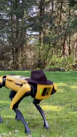 You’ve seen me neigh, neigh. Now watch me whip. #indianajones #adventure #themesong #robot #bostondynamics #fyp #foryoupage