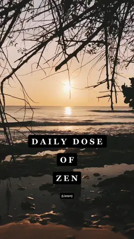 Daily Dose of Zen. #snackbreak #goingpro #meditate #over30 #MentalHealthAwareness #traveldiaries #tiktoktravel #foryou #fyp #foryourpage