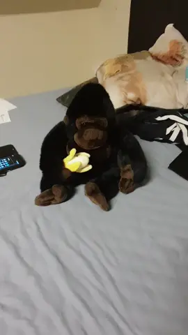 @sophie_01.11.07 @salomon_btw