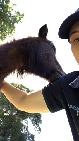 Someone’s in joying a good scratch 👈🏻😁