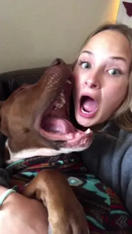 Everyone says their dog is the best dog... and everyone’s right. 🥰 #fyp #foryoupage #dogsoftiktok #pitbull #petvlog