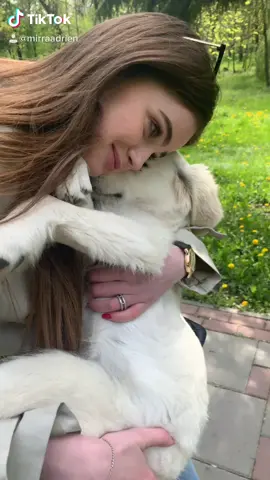 She hurt her paw 😭 #petlover #dogsoftiktok #puppy #labrador