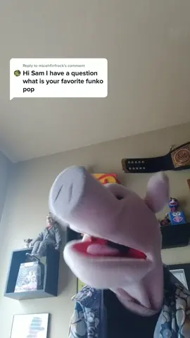 Sam The Ham's reply to @micahfinfrock ! 🐽👍🐽 #askthepig #samthehamtv #samtheham
