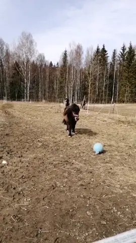 Onhan se kiva et vaikka on tarhakamu niin silti tulee portille vastaan kun näkee mut <3
