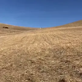 #говрек #лайк #скоростьсвета #скорость #газуйдоталого