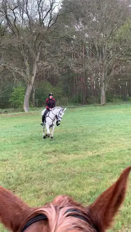 Danach ging es im Galopp nachhause denn es hat angefangen zu Hageln🙄