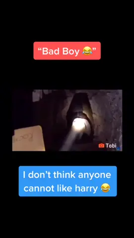 Harry is by far the best of the seven #sidemen #hauntedtunnels #w2s #harry #sidemensundays #tiktokremovedmyvideo