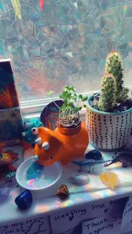 Your welcome for not making you wait to see the end product..😂🦕🦖🌸💕 #tiktok #foryou #plants