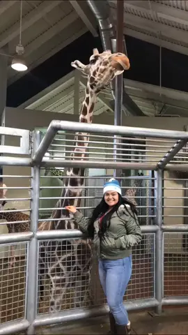 #weightloss #fyp #foryourpage #heartbrokencheck #viral #transformation