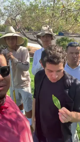 She ate the floating candy 😳 #foryoupage #fyp #magiclife #illusion