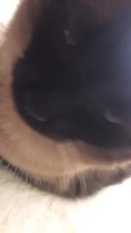 Someone send this to someone and tell me what they say. @whatdoyoumeme #slideinthedms #sponsored